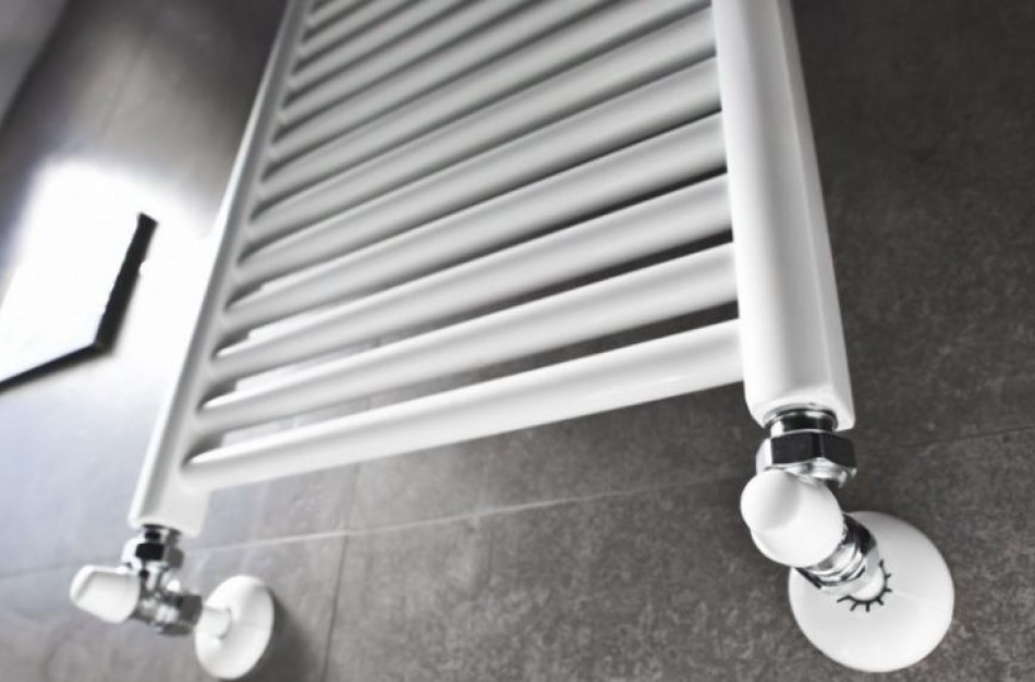 Emilija: „Šildymo sezonas baigėsi, tai gyvatukai plyšta nuo karščio“