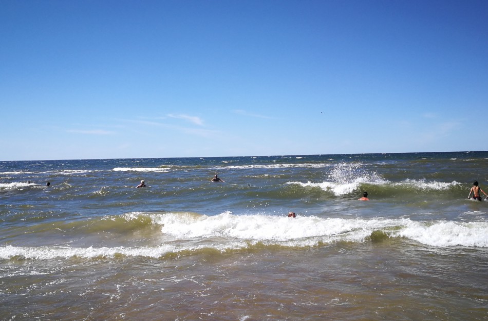 Baltijos jūroje susidarė palankios sąlygos daugintis Vibrio bakterijoms