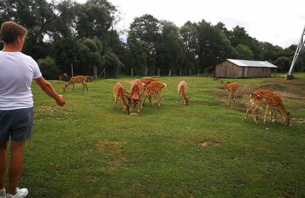 Globėjams padėkoti skirta savaitė