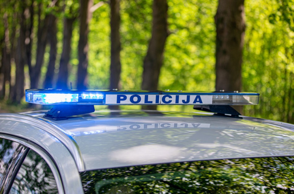 Vairuotojas Valstybės dieną „aplaistė“ alkoholiu