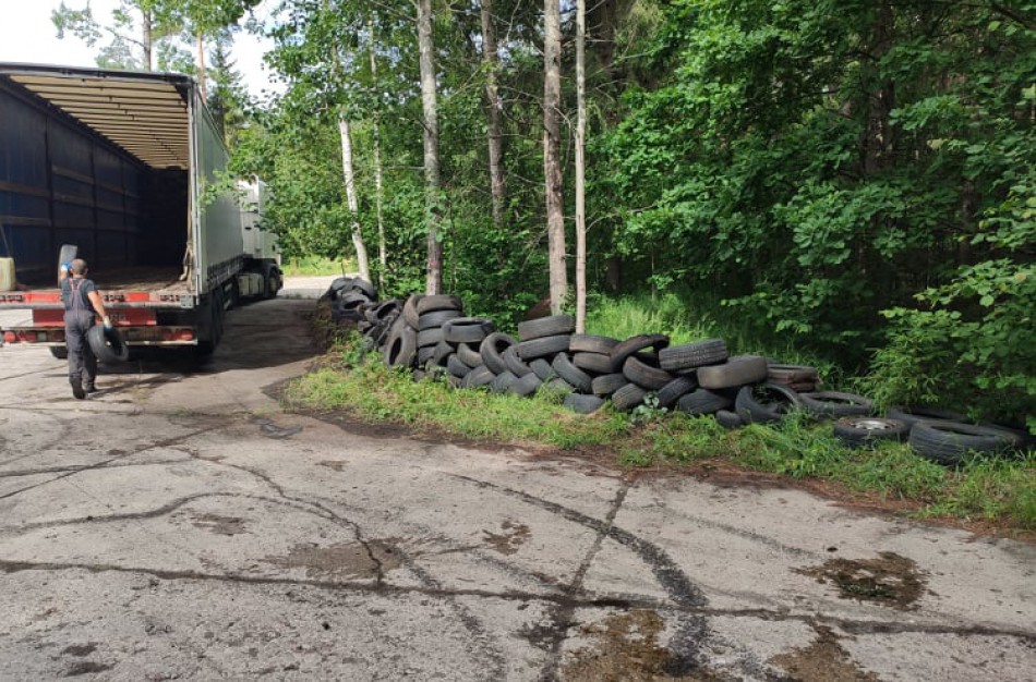 Miškininkai surinko rekordinį išmestų padangų kiekį - vien tik Šveicarijos seniūnijoje surinkta 10 tonų