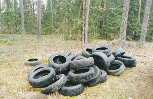 Miškininkai surinko rekordinį išmestų padangų kiekį - vien tik Šveicarijos seniūnijoje surinkta 10 tonų