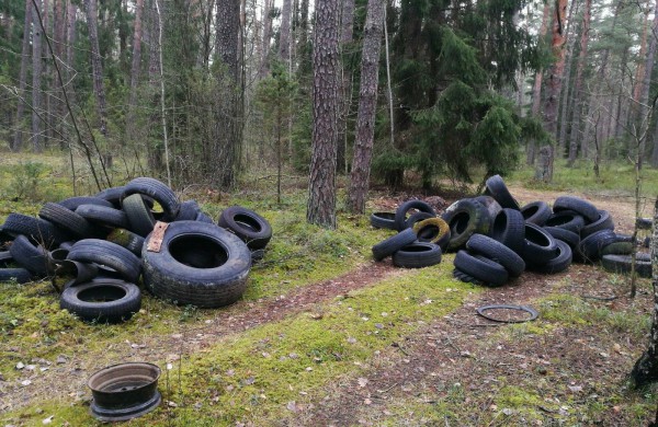 Miškininkai surinko rekordinį išmestų padangų kiekį - vien tik Šveicarijos seniūnijoje surinkta 10 tonų