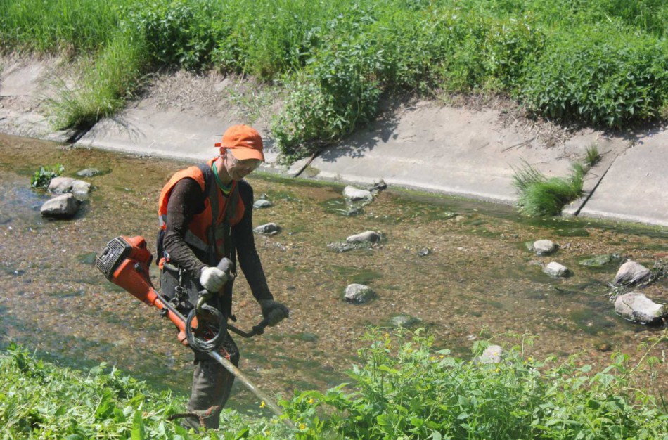 Apklausa atskleidė, ar jonaviečiai pageidauja dažnesnio šienavimo prie daugiabučių 