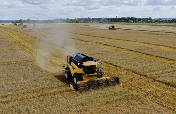 Pirmą kartą Lietuvoje – rugiapjūtės startas 6 kombainais