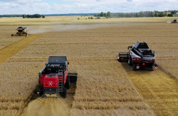 Pirmą kartą Lietuvoje – rugiapjūtės startas 6 kombainais