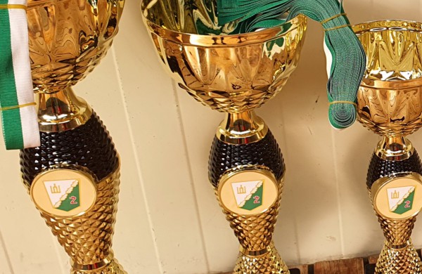 Lietuvos energetikų ir veteranų  krepšinio komandų  turnyre triumfavo ,,Achemos" komanda