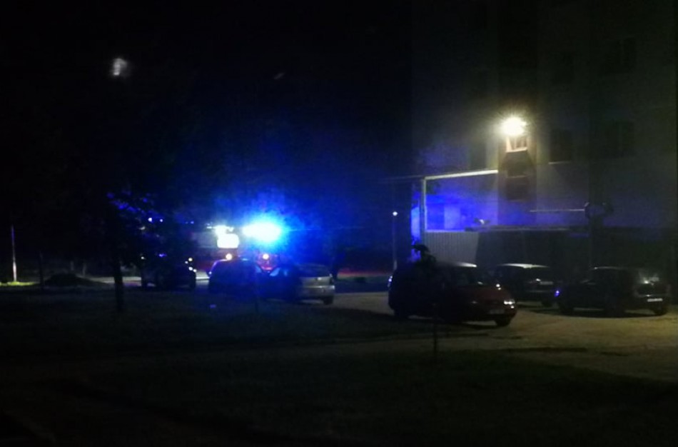 Ugniagesius gelbėtojus ant kojų sukėlė gaisras konteineryje