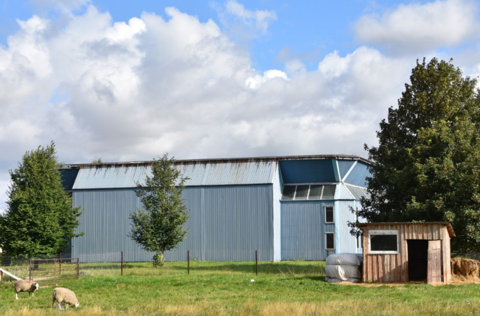 M. Sinkevičius: tarybos narys už sporto salę paprašė trigubai daugiau, nei rinkos vertė