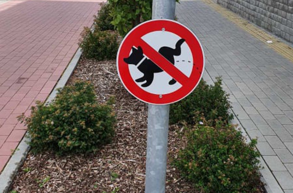 Praeivio akį patraukė ant stulpo pastebėtas ženklas: koks jo tikslas?