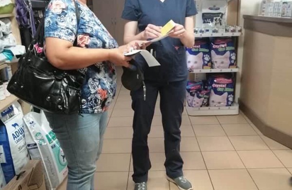 Siekiant mažinti beglobių gyvūnų skaičių, nemokamai iškastruota daugiau nei 40 keturkojų