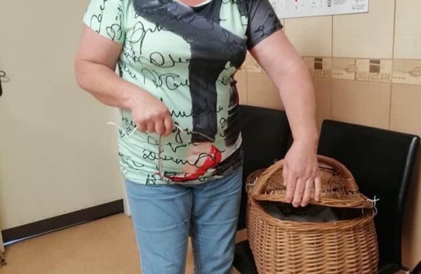 Siekiant mažinti beglobių gyvūnų skaičių, nemokamai iškastruota daugiau nei 40 keturkojų