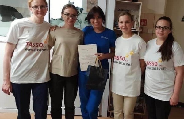 Siekiant mažinti beglobių gyvūnų skaičių, nemokamai iškastruota daugiau nei 40 keturkojų