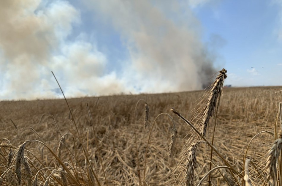 Javapjūtę ir šįmet lydi ugnis: Jonavos rajone pleškėjo kombainas