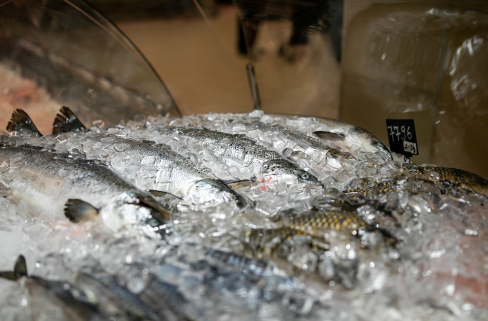 Nuo pirmadienio „Maxima“ atsisakė 104 gyvos žuvies akvariumų