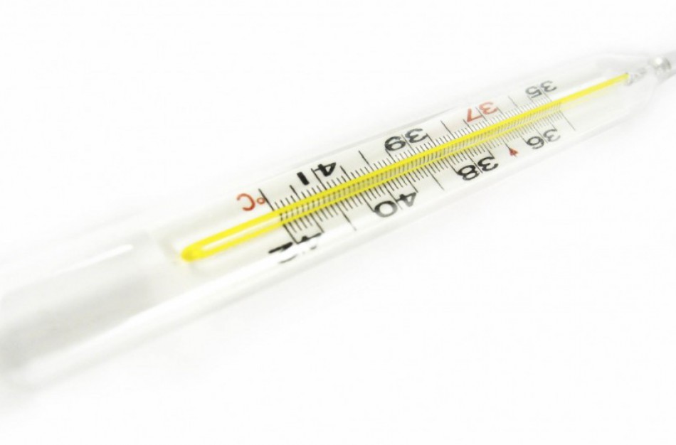 Vaikui sudaužius termometrą, prireikė ugniagesių gelbėtojų pagalbos