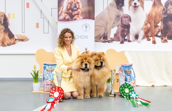 Jonaviečių išveisti čiau čiau garsina Lietuvą: šuniukais žavisi ir amerikiečiai, ir vietnamiečiai