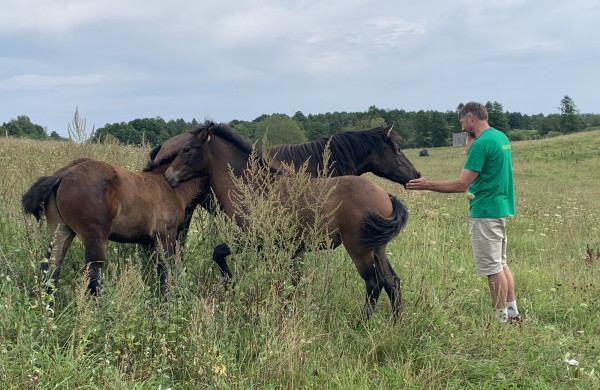 Apsilankyti kaime nėra blogo oro!