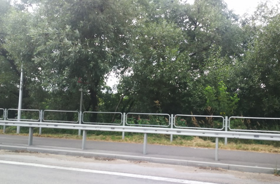 Paspirtukininkė: Jonavos pavyzdiniai dviračių takai - ne tokie ir pavyzdiniai