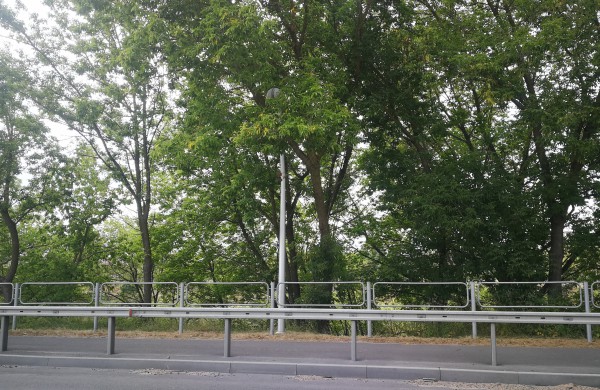 Paspirtukininkė: Jonavos pavyzdiniai dviračių takai - ne tokie ir pavyzdiniai