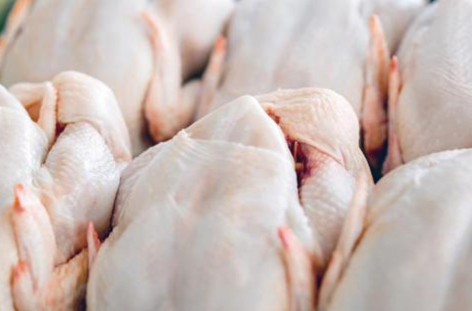 Rinkoje neleista realizuoti daugiau kaip 40 tonų nesaugios paukštienos