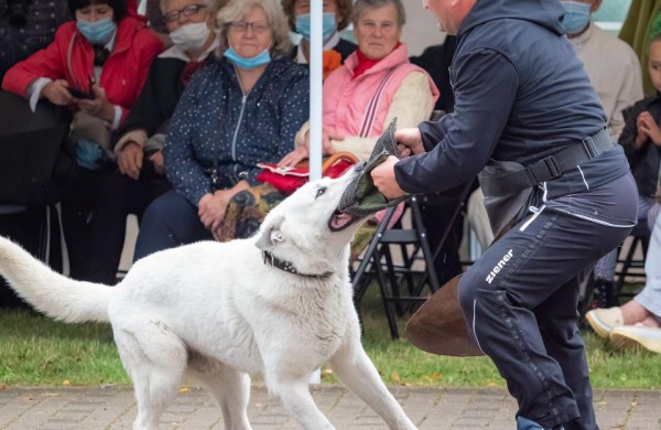 13-oji „Rudens mozaika“: visą dieną trunkanti ir pramogų nestokojanti šventė