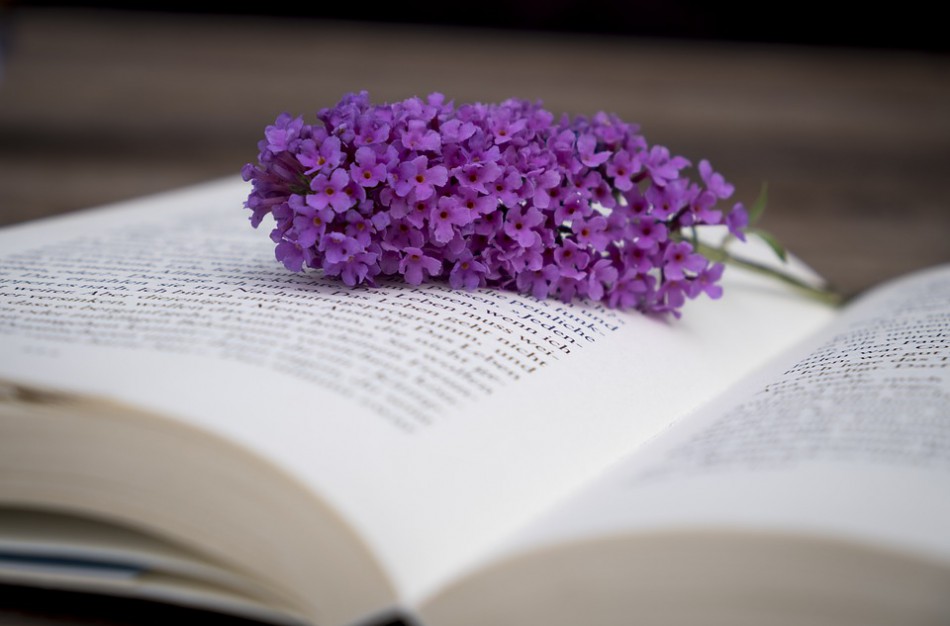 Sveikiname su Rugsėjo 1-ąja!