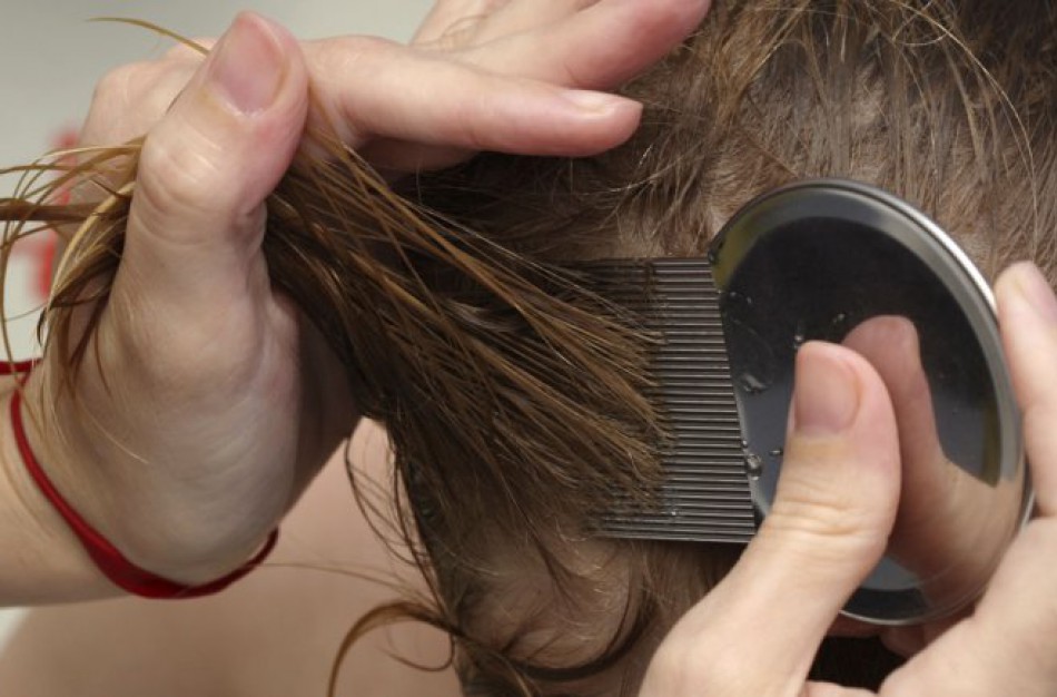 Utėlės ir kirminai. Atsikratę tabu padėsite savo vaikui