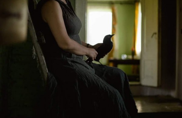 Jonavietės rankose gimstantys kūriniai atima žadą: vilna virsta gyvybe alsuojančiomis gyvūnų skulptūrėlėmis