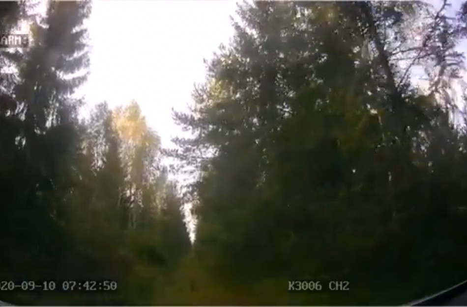 Naktį miške praleidęs jonavietis grybautojas - surastas