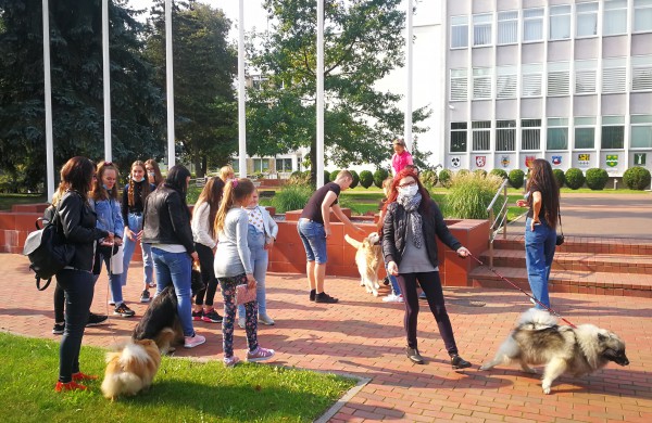 Eitynės Jonavoje už gyvūnų teises nepatyrė fiasko – susirinko daugiau, nei tikėtasi