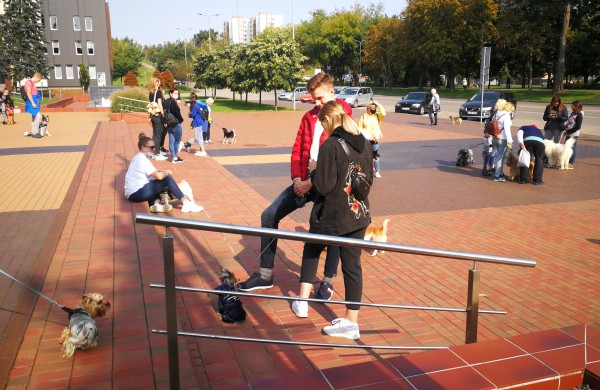 Eitynės Jonavoje už gyvūnų teises nepatyrė fiasko – susirinko daugiau, nei tikėtasi