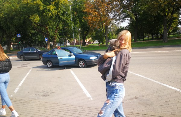 Eitynės Jonavoje už gyvūnų teises nepatyrė fiasko – susirinko daugiau, nei tikėtasi