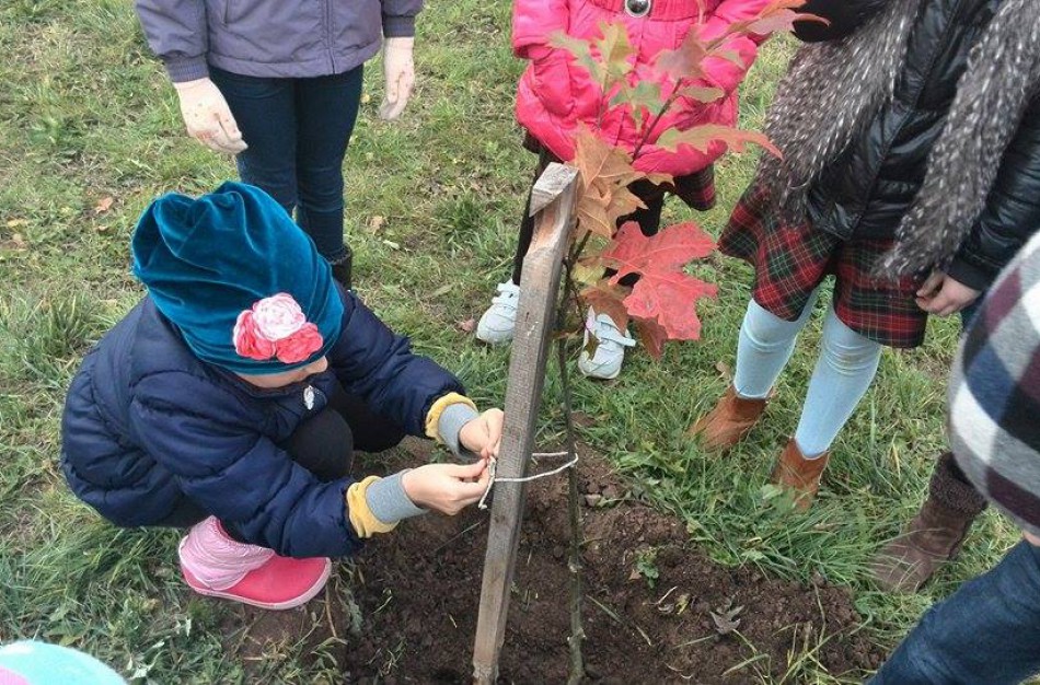 Prie Varnutės tvenkinio vaikai pasodino 20 ąžuoliukų