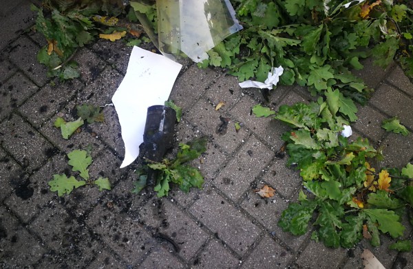 Suniokoti pastatai, sudegintas kandidato plakatas: vandalizmo aktas, ar piktas politinis žaidimas?