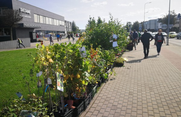 Sąjūdžio aikštėje karaliauja ruduo: prasidėjo kermošius „Po rudens dangum“