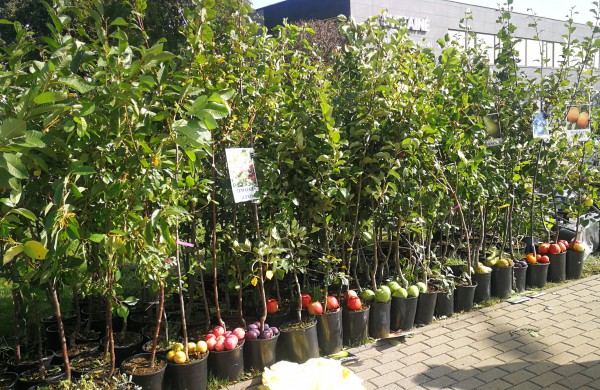 Sąjūdžio aikštėje karaliauja ruduo: prasidėjo kermošius „Po rudens dangum“