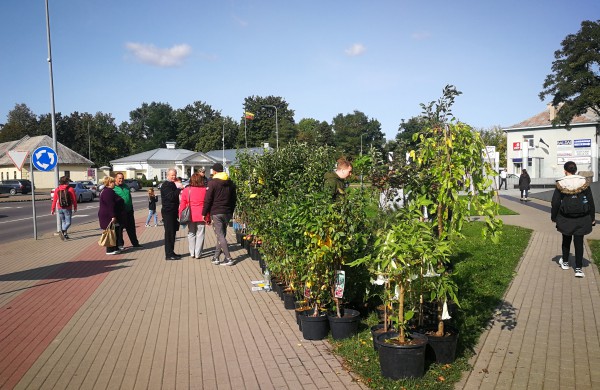 Sąjūdžio aikštėje karaliauja ruduo: prasidėjo kermošius „Po rudens dangum“