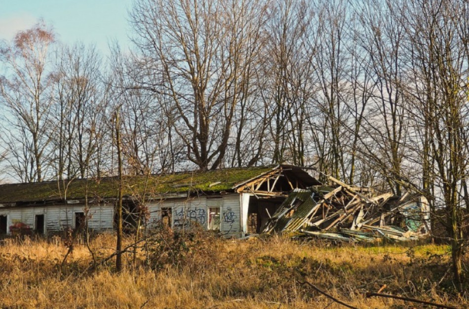 Mažės apleistų sklypų