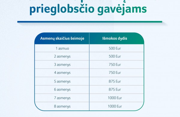 Prieglobstį Lietuvoje gavę užsieniečiai bus labiau skatinami integruotis ir mokytis lietuvių kalbos