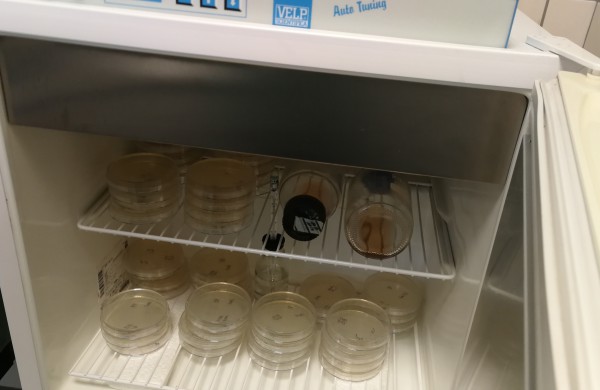 „Jonavos vandenys“ užtikrina vandens kokybę, atsiprašo dėl komunikacijos