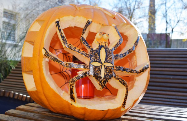 Jonavoje akcija-konkursas „Moliūgų terasa“ sulaukė rekordinio dalyvių skaičiaus