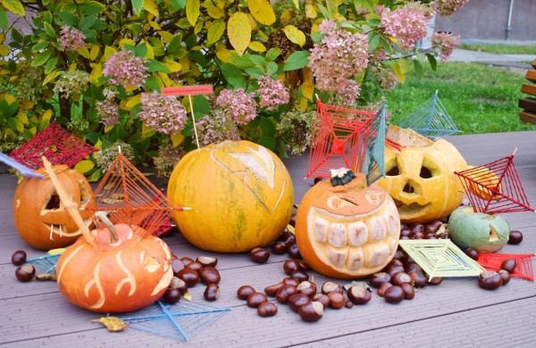 Jonavoje akcija-konkursas „Moliūgų terasa“ sulaukė rekordinio dalyvių skaičiaus