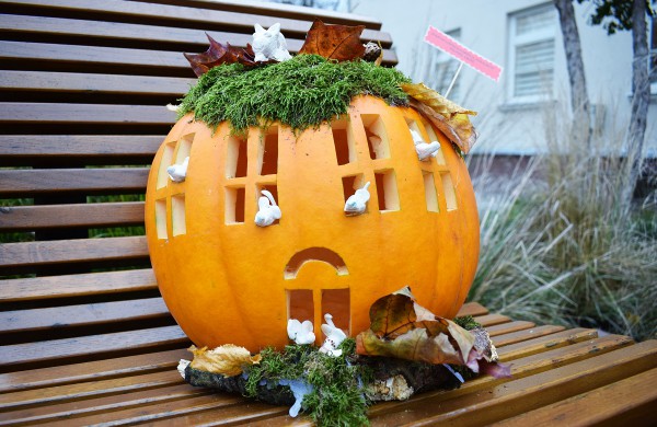 Jonavoje akcija-konkursas „Moliūgų terasa“ sulaukė rekordinio dalyvių skaičiaus