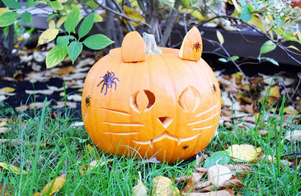 Jonavoje akcija-konkursas „Moliūgų terasa“ sulaukė rekordinio dalyvių skaičiaus