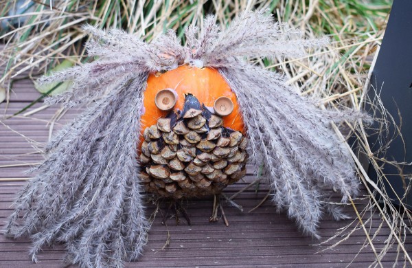 Jonavoje akcija-konkursas „Moliūgų terasa“ sulaukė rekordinio dalyvių skaičiaus