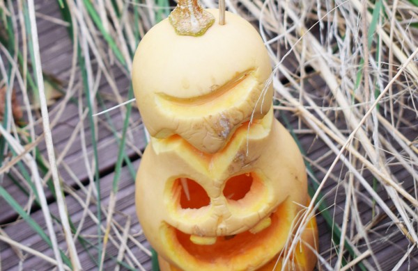 Jonavoje akcija-konkursas „Moliūgų terasa“ sulaukė rekordinio dalyvių skaičiaus