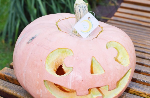 Jonavoje akcija-konkursas „Moliūgų terasa“ sulaukė rekordinio dalyvių skaičiaus