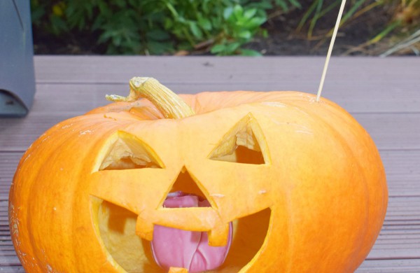 Jonavoje akcija-konkursas „Moliūgų terasa“ sulaukė rekordinio dalyvių skaičiaus