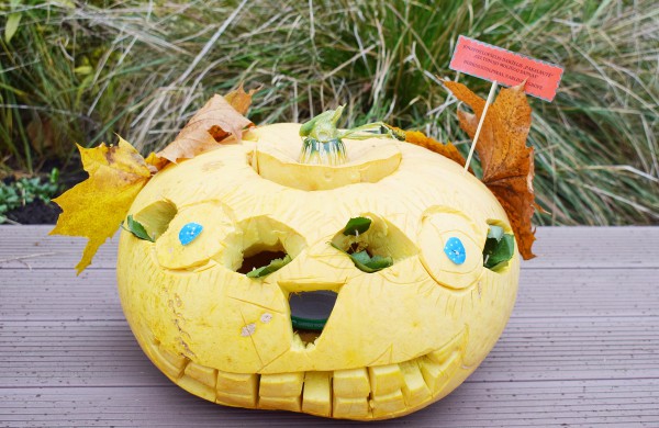 Jonavoje akcija-konkursas „Moliūgų terasa“ sulaukė rekordinio dalyvių skaičiaus